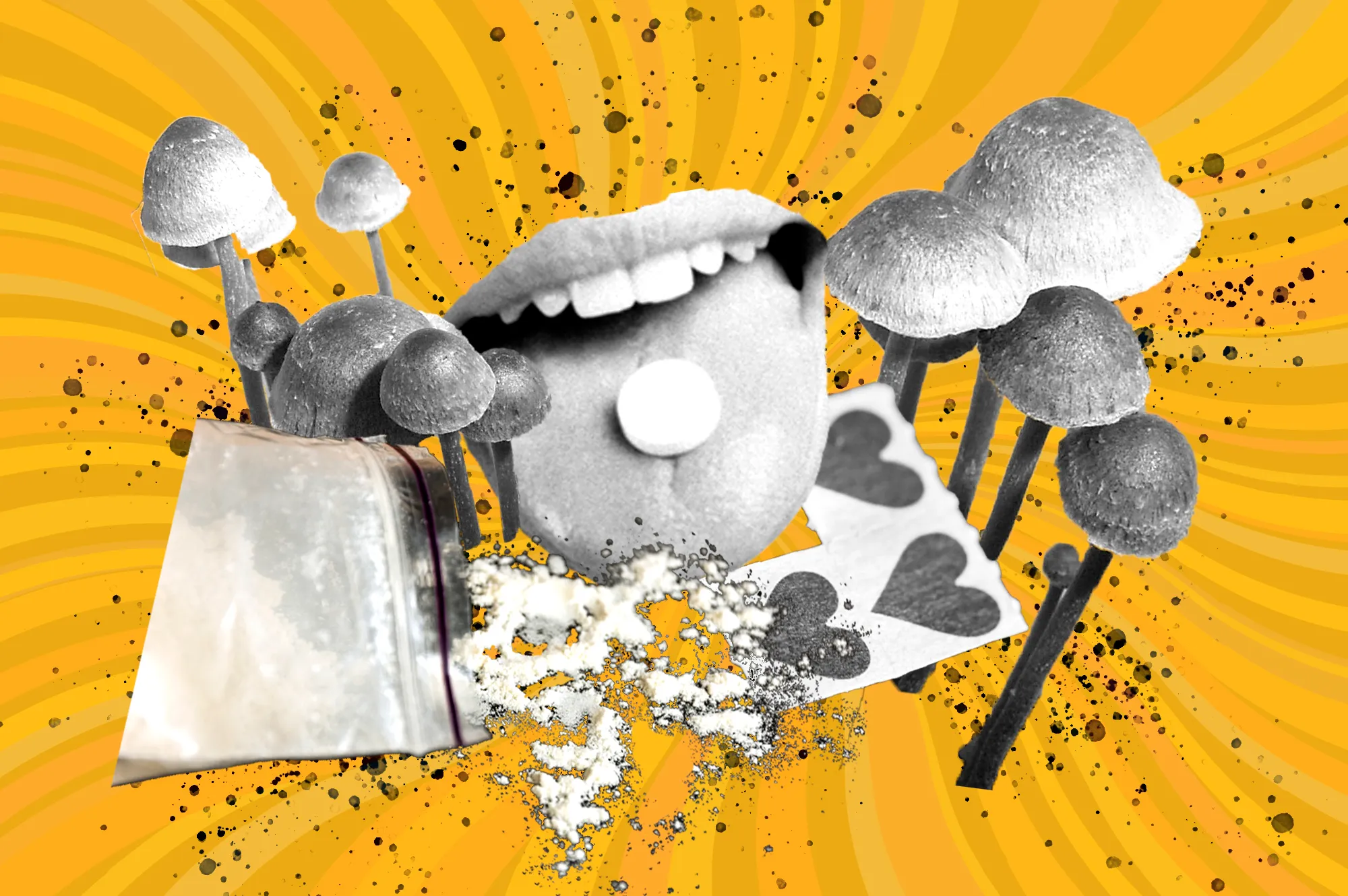 Online shroom dispensary Canada