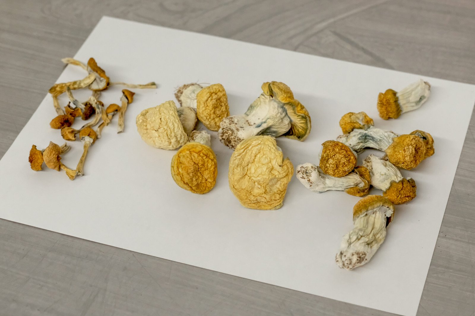 Buy magic mushrooms Canada