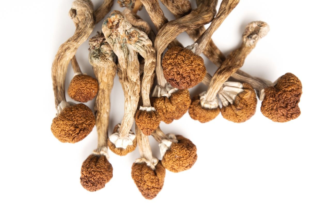 Buy magic mushrooms Canada