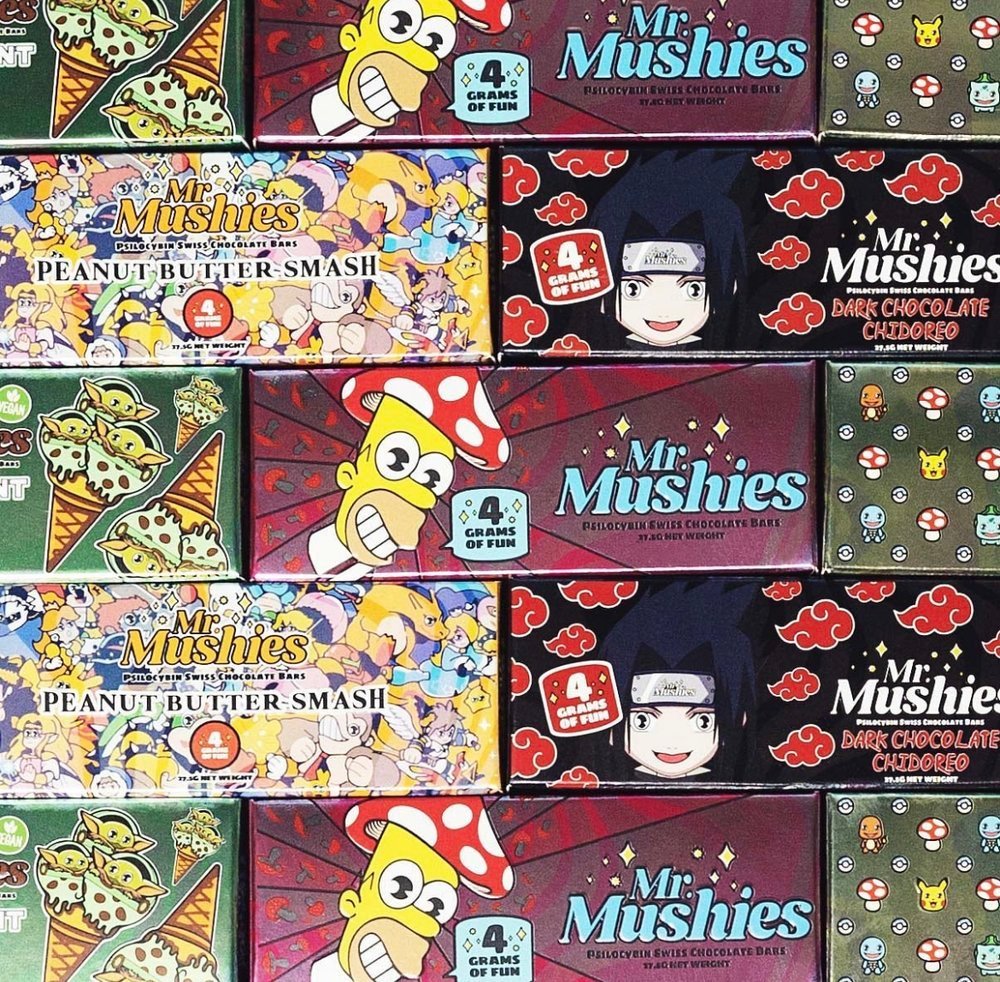 Mr Mushies Mushroom Chocolate Bar 4g