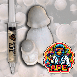 Albino Penis Envy Liquid Culture (APE)