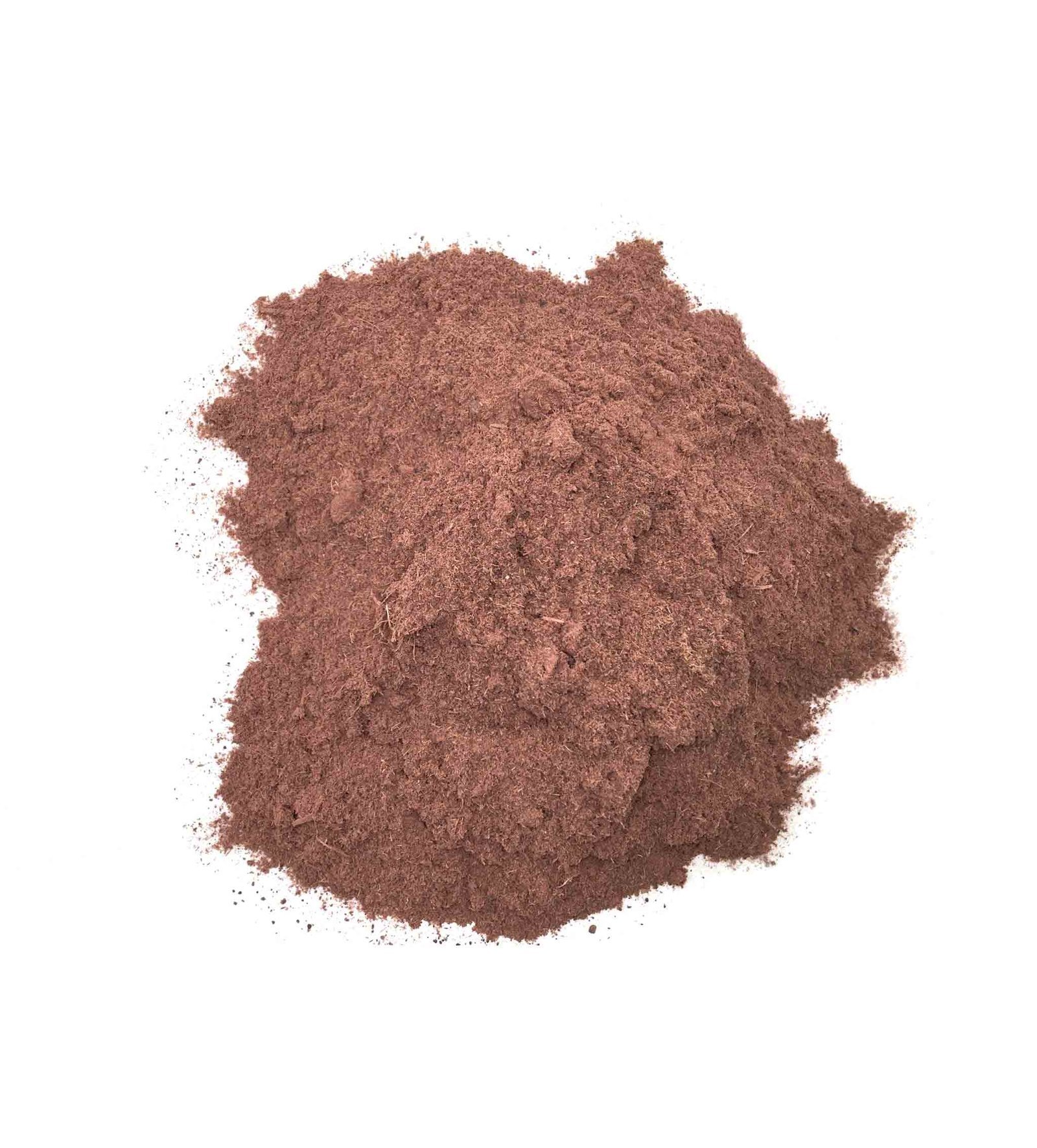 Mimosa hostilis (jurema)