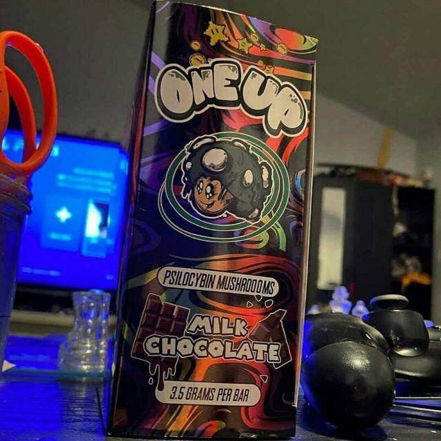 One Up Mushroom